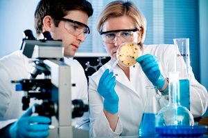 Laboratory Monitoring Systems